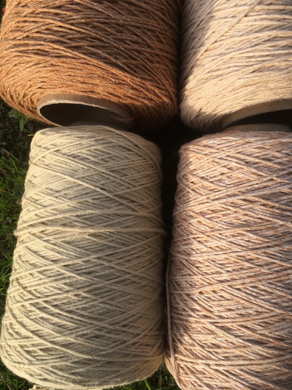 10/2/5 foxfibre® colorganic® worsted weight yarn — VRESEIS LIMITED